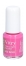 Rosa Baiser