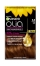 5.3 Light Golden Chestnut