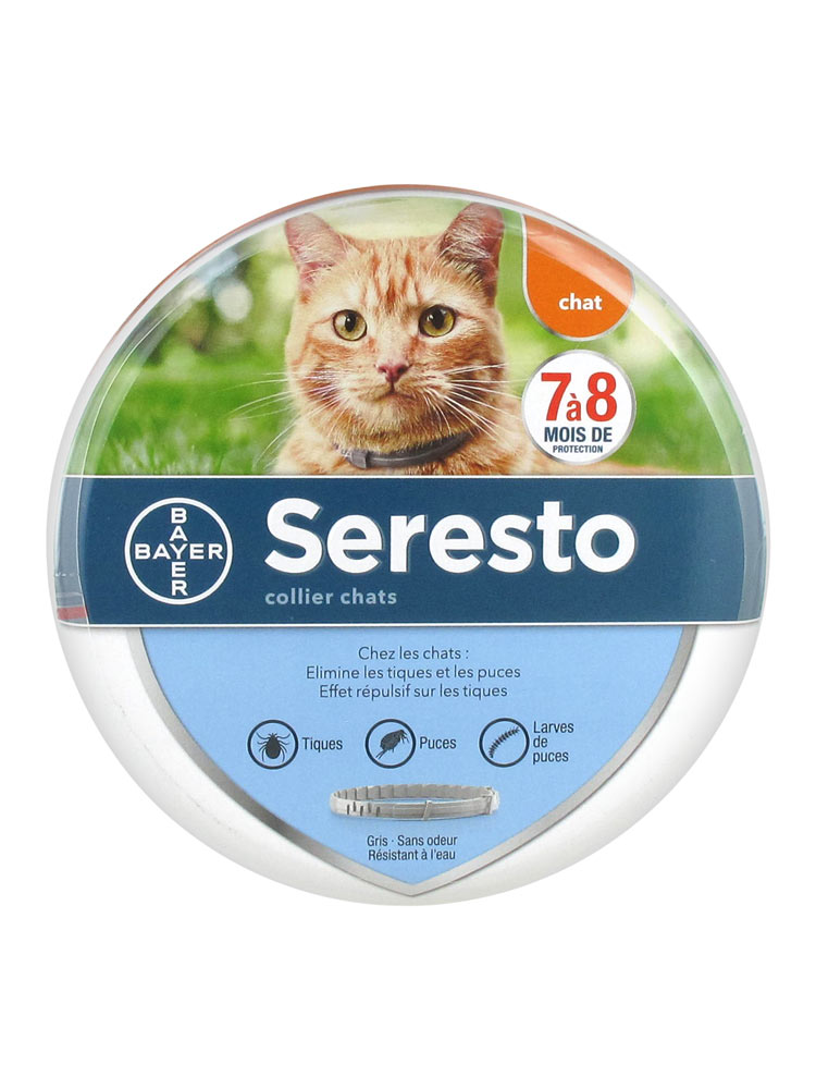 bayer-seresto-collar-cats-buy-at-low-price-here