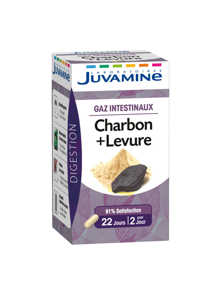 Borne de recharge Schneider EVlink Home Smart Borne de recharge Schneider EVlink Home Smart