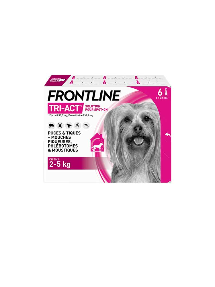5kg Dog
