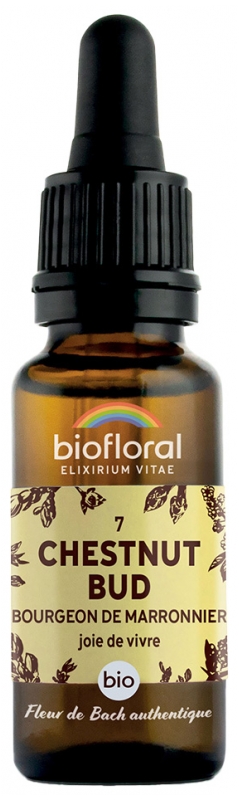 Knop Apotheke Schlankheitsprodukte Knop Apotheke Schlankheitsprodukte