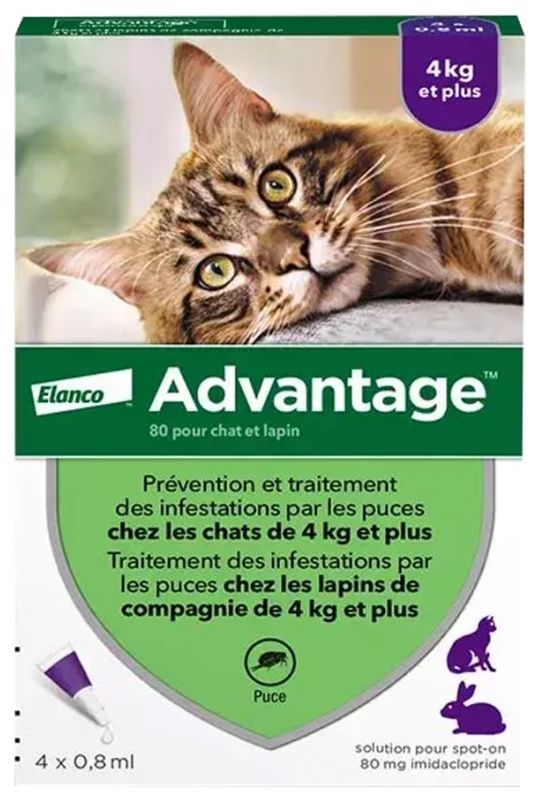 Bayer Advantage 80 Antifleas Solution 