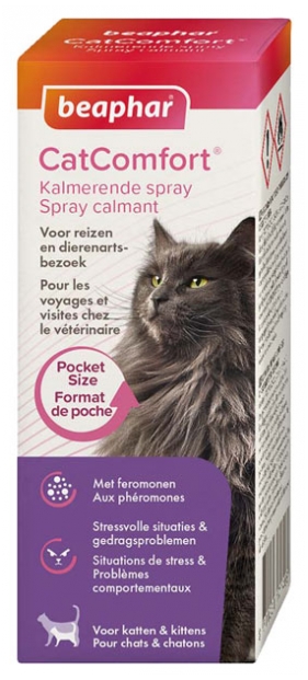 traitement pour calmer un chat