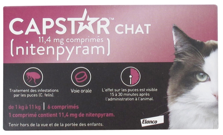 Elanco Capstar Chat De 1 A 11 Kg 6 Comprimes